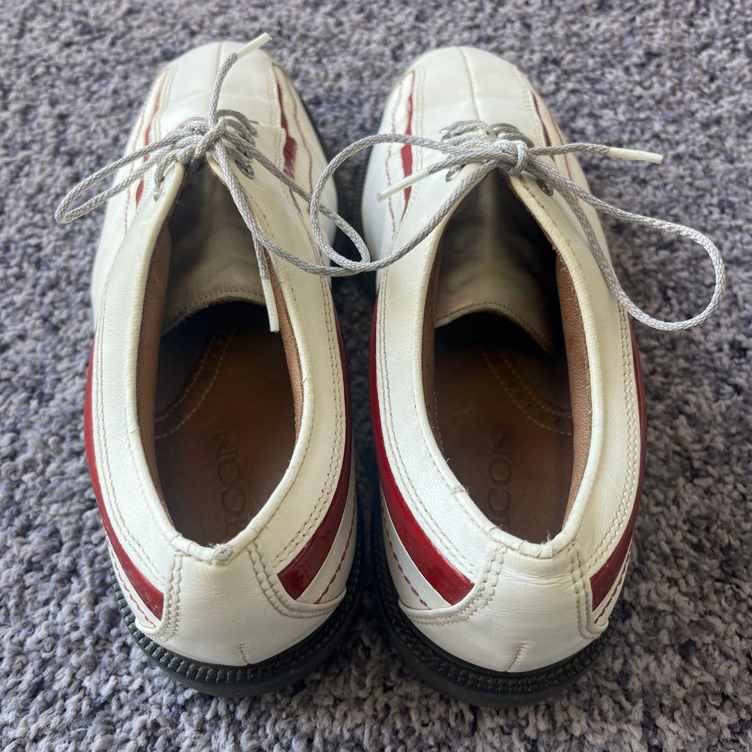 FJアイコン国内未発表　 ホワイト/レッド 収納袋付き