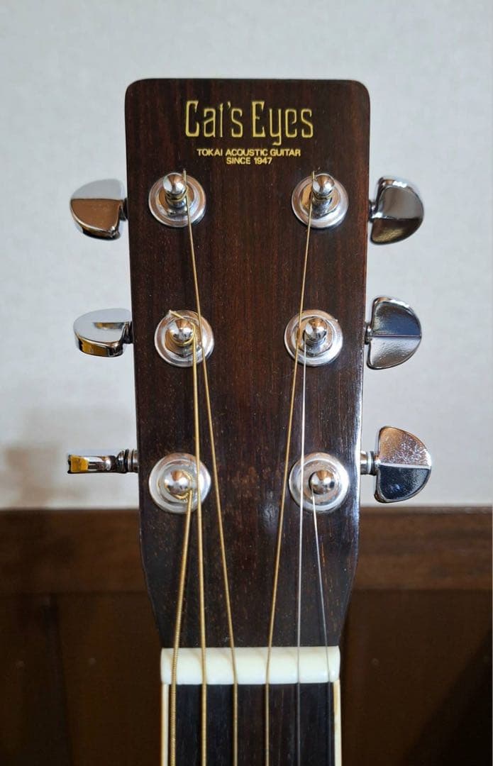 Cat'S Eyes キャッツアイ 東海楽器 アコースティックギターTCE-30
