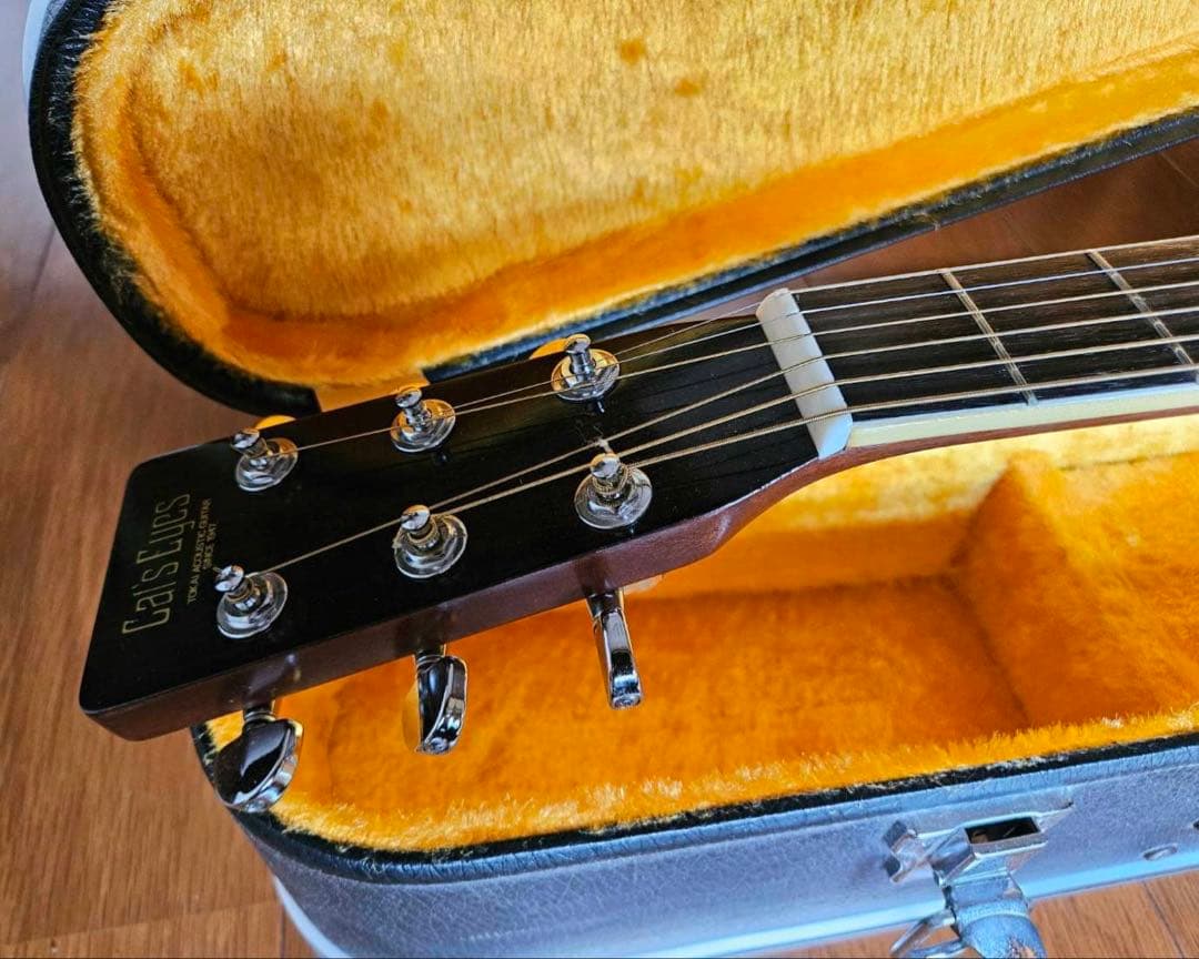 Cat'S Eyes キャッツアイ 東海楽器 アコースティックギターTCE-30
