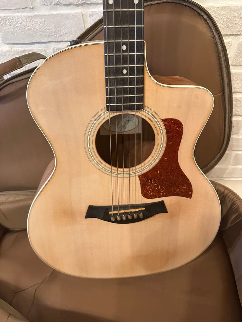 T*K様 Taylor 214ce エレキアコースティックギター 専用ケース付
