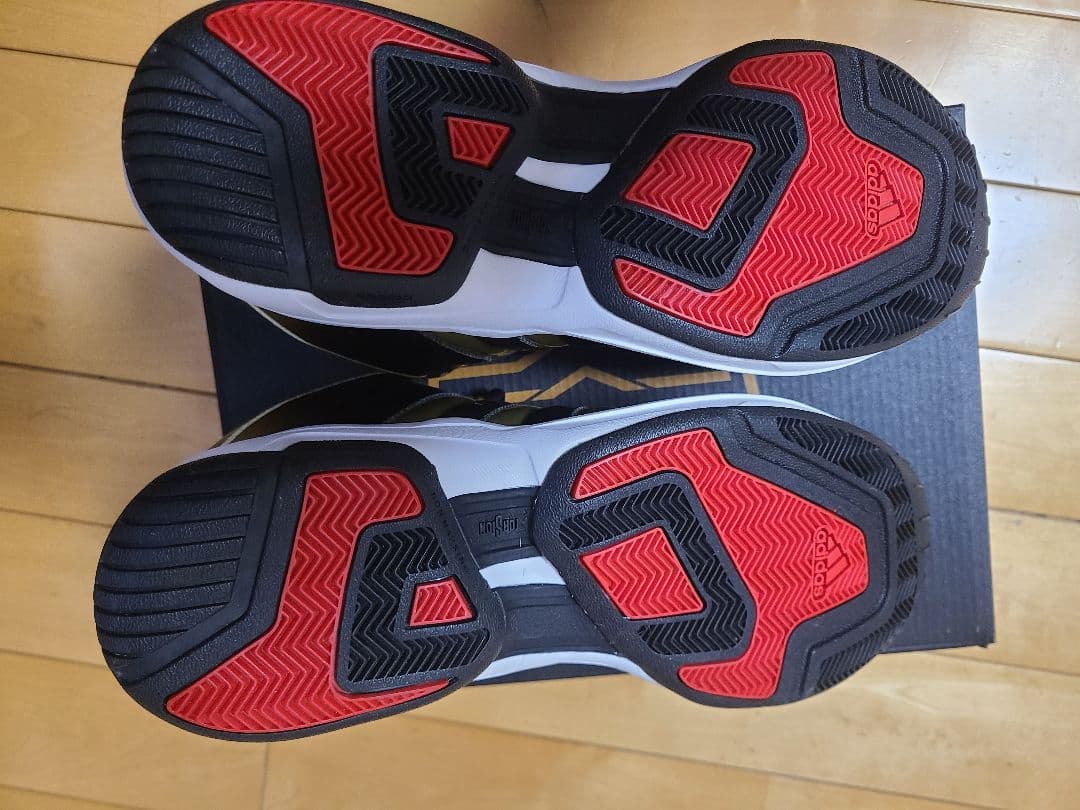 アディダス 2G Pro Model プロモデル　レブロン　28