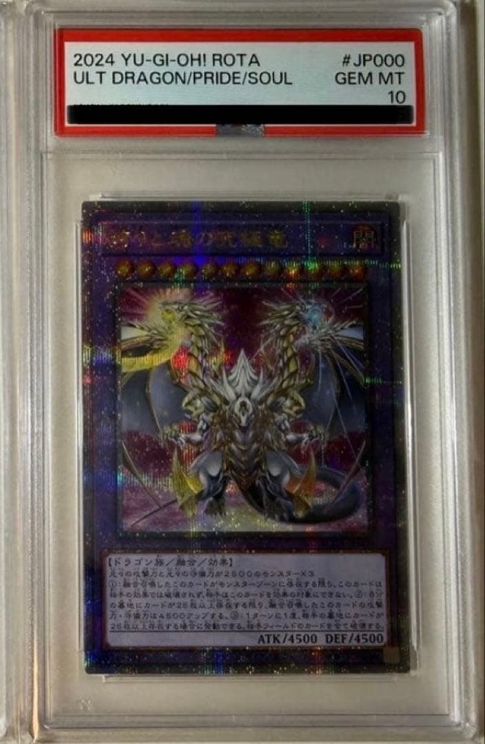 ホコタマpsa10セット