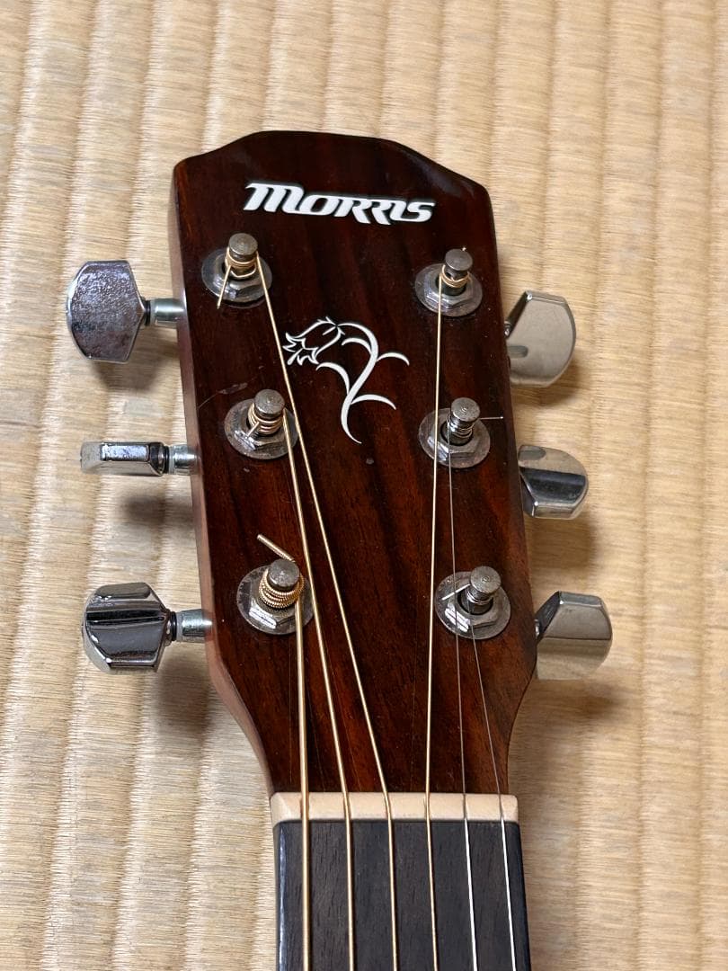 Morris M-01ⅡNAT 　　アコースティックギター
