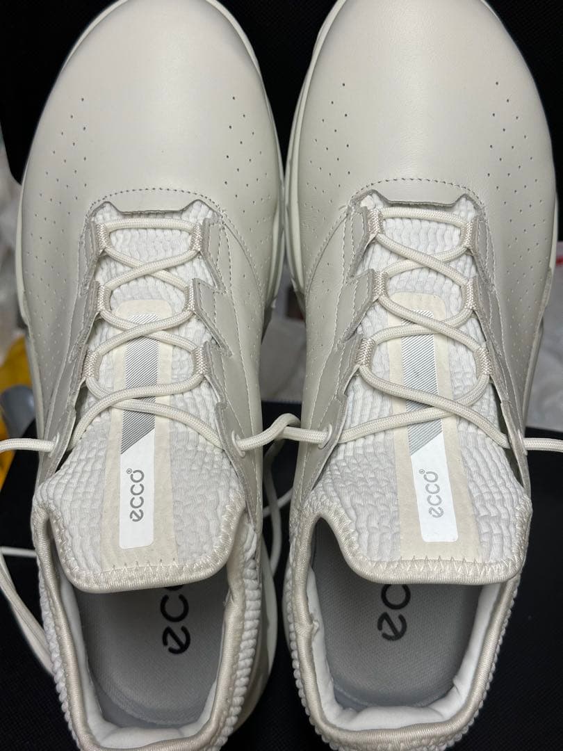 エコー ECCO BIOM C4 GTX 新品未使用