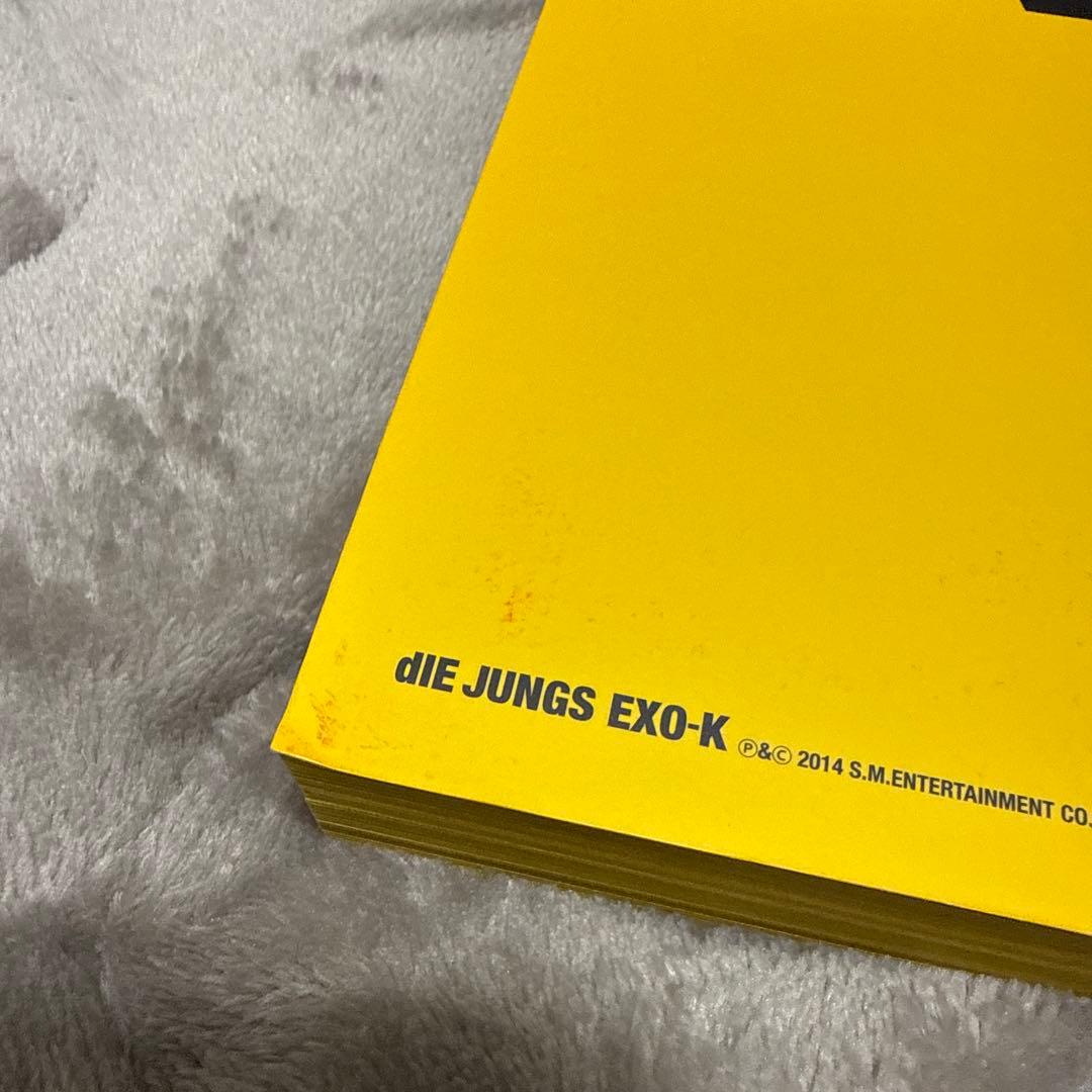 dIE JUNGS EXO-K ビジュアルブック　写真集