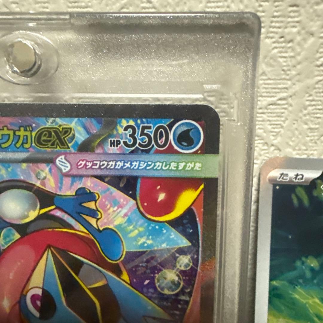メガゲッコウガEX、ケロマツ、ゲッコウガセット