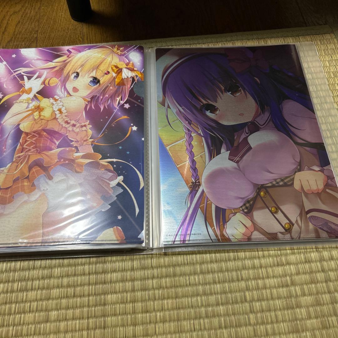 きのこのみ クリアファイル まとめ売り