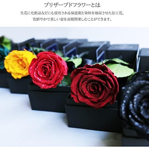 一輪薔薇 プリザーブドフラワー ダイヤモンドローズ レザーブラック Rose
