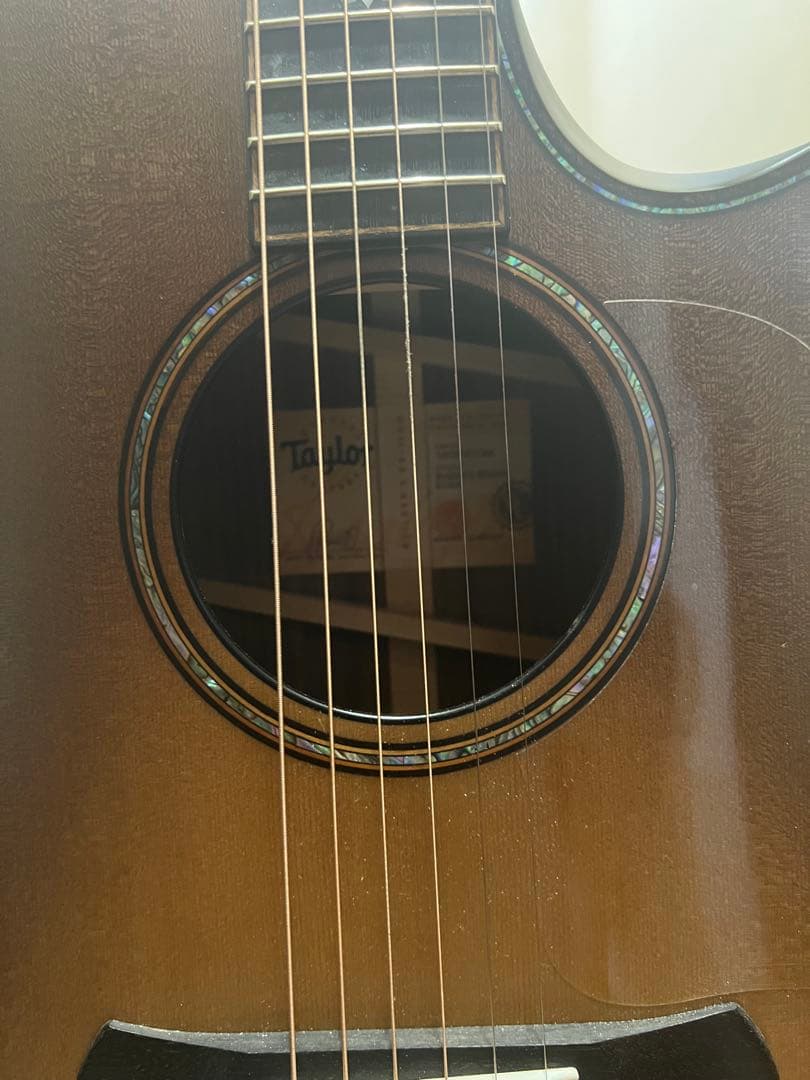 Taylor(テイラー)914ce Builder's Edition