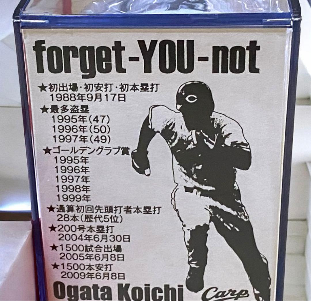 レア品 広島カープ 緒方孝市 引退記念サインボール (ケース・台座・箱)撮影開封
