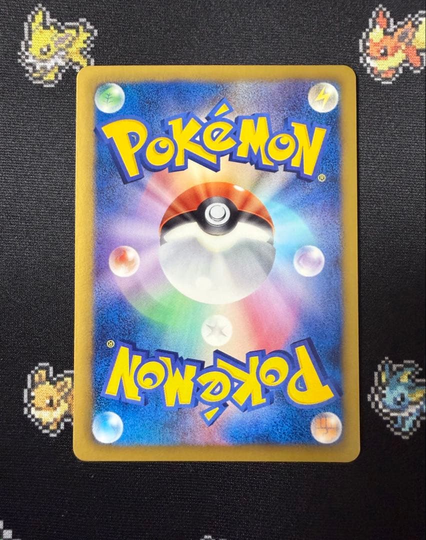 ★ポケモンカード サンダース 186/BW-P プロモ コレクションファイル★
