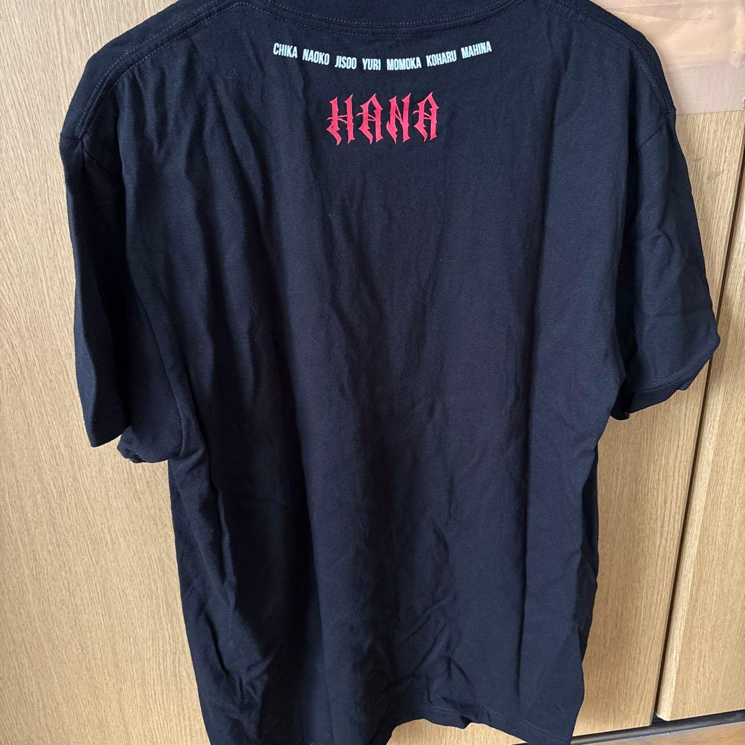 HANA ロゴTシャツ　Lサイズ　タオル