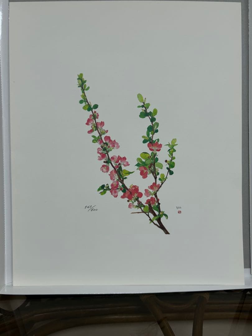 《気まぐれセール》外山康雄 版画　草木瓜　ダイヤモンドスクリーン