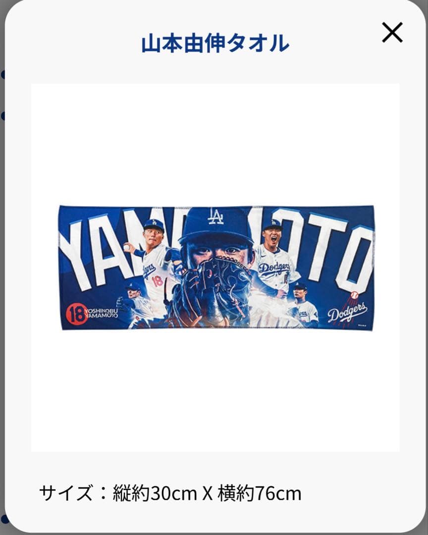 Dodgers Fan Club Box ドジャース ファンクラブ 大谷翔平