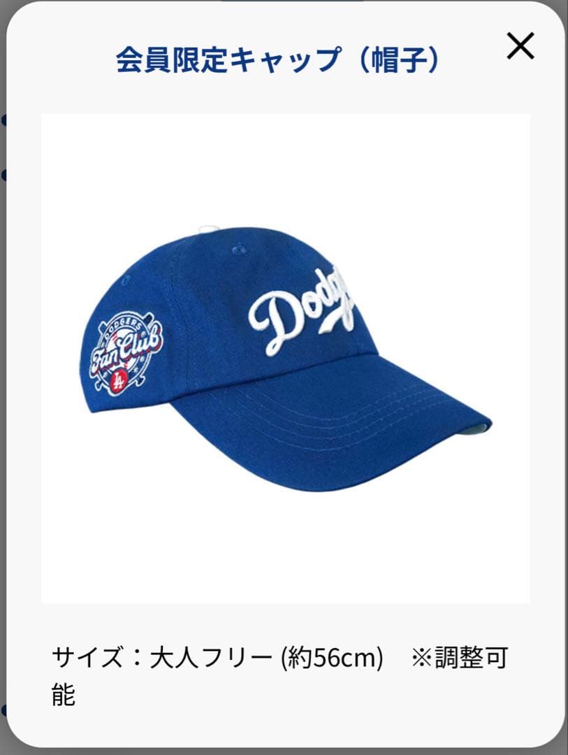 Dodgers Fan Club Box ドジャース ファンクラブ 大谷翔平