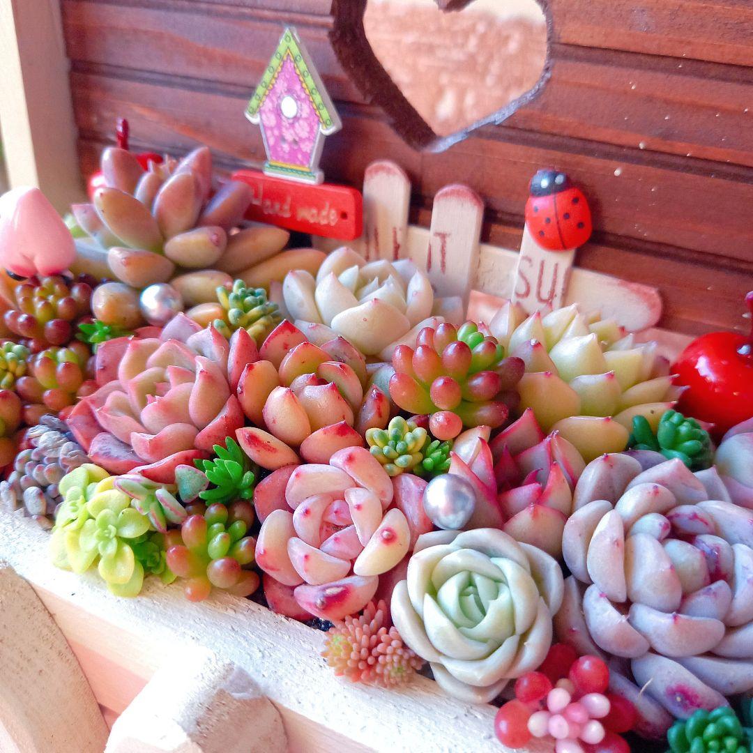 ❤️多肉植物❤️そのまま飾れる寄せ植え❤️のんびりうさぎちゃん~❤️