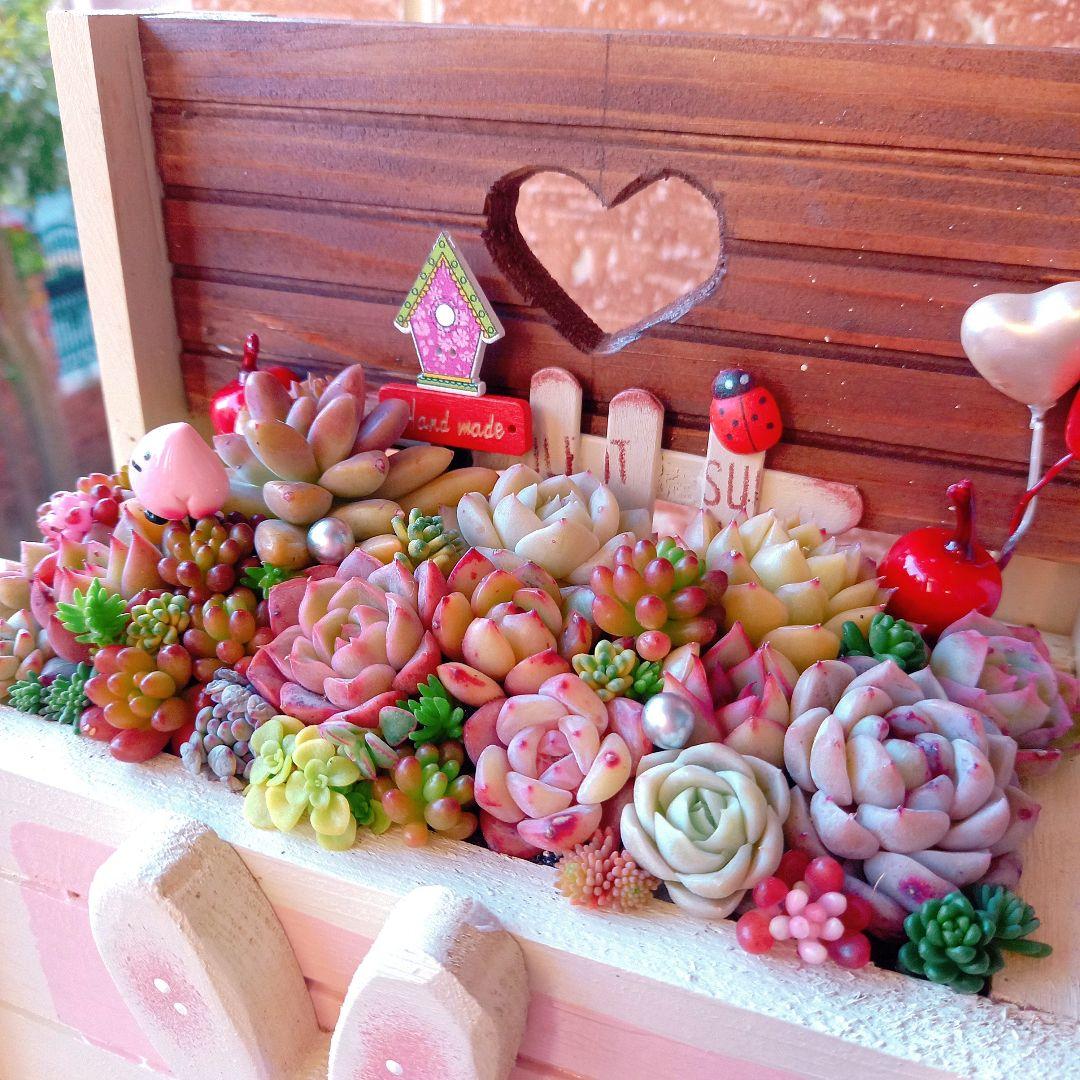 ❤️多肉植物❤️そのまま飾れる寄せ植え❤️のんびりうさぎちゃん~❤️