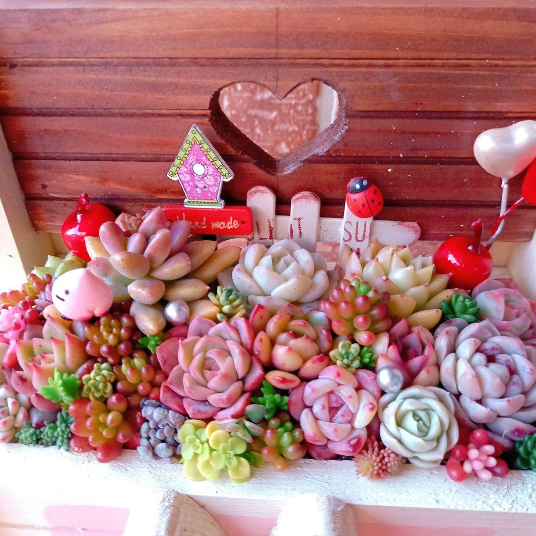 ❤️多肉植物❤️そのまま飾れる寄せ植え❤️のんびりうさぎちゃん~❤️