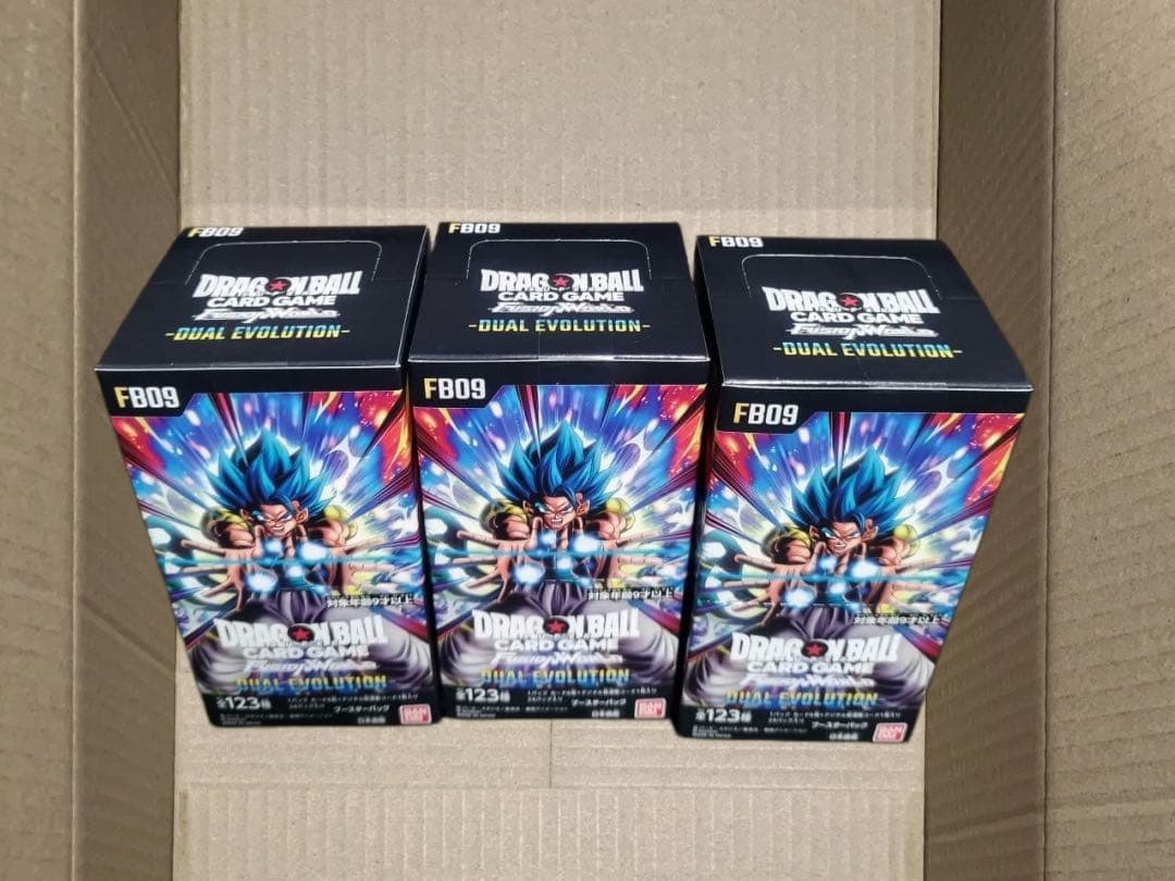 その他 DUAL EVOLUTION 3BOX
