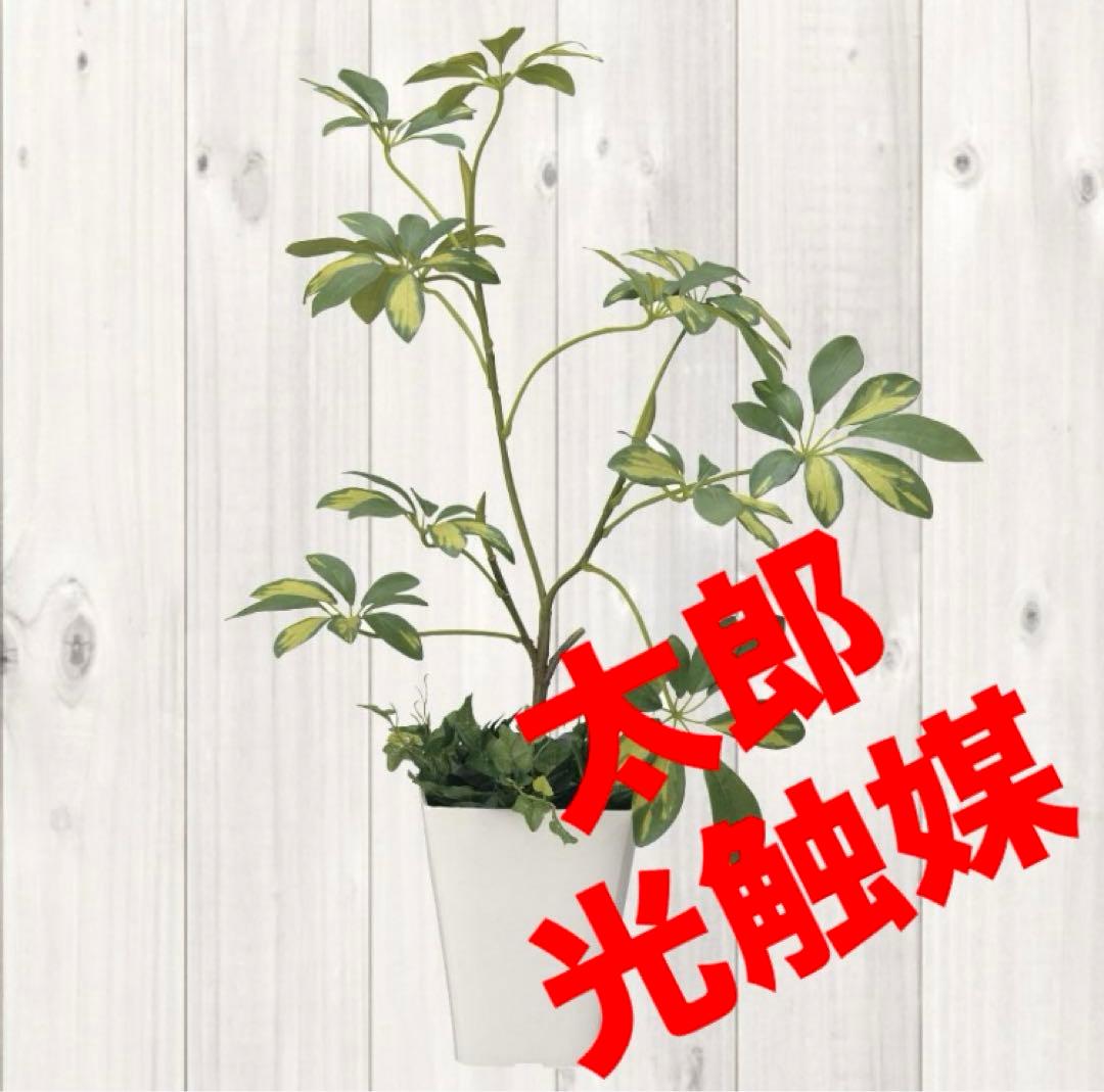 光触媒　人工観葉植物　ウォールグリーン　フェイクグリーン　シェフレラ68