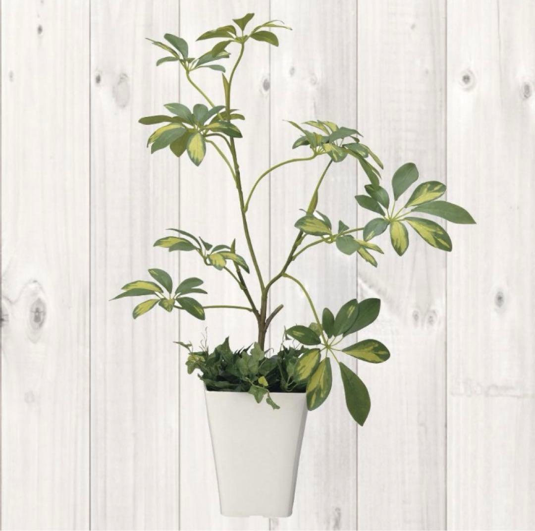 光触媒　人工観葉植物　ウォールグリーン　フェイクグリーン　シェフレラ68
