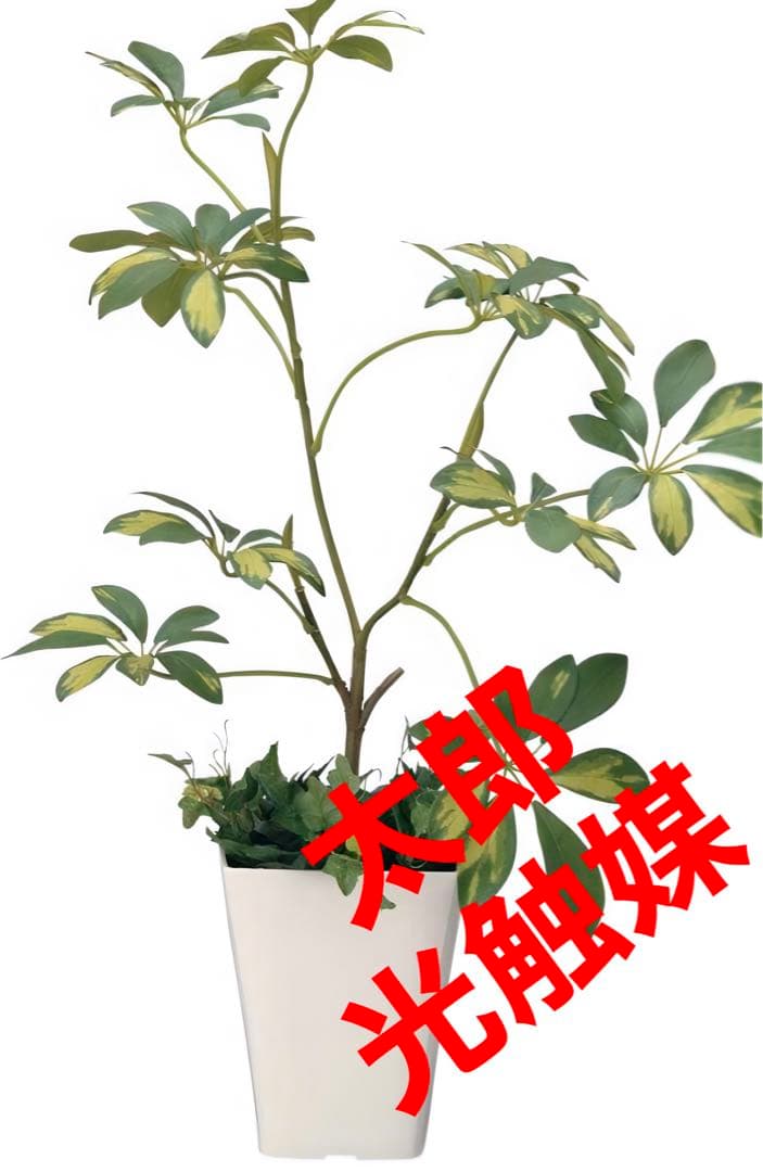 光触媒　人工観葉植物　ウォールグリーン　フェイクグリーン　シェフレラ68