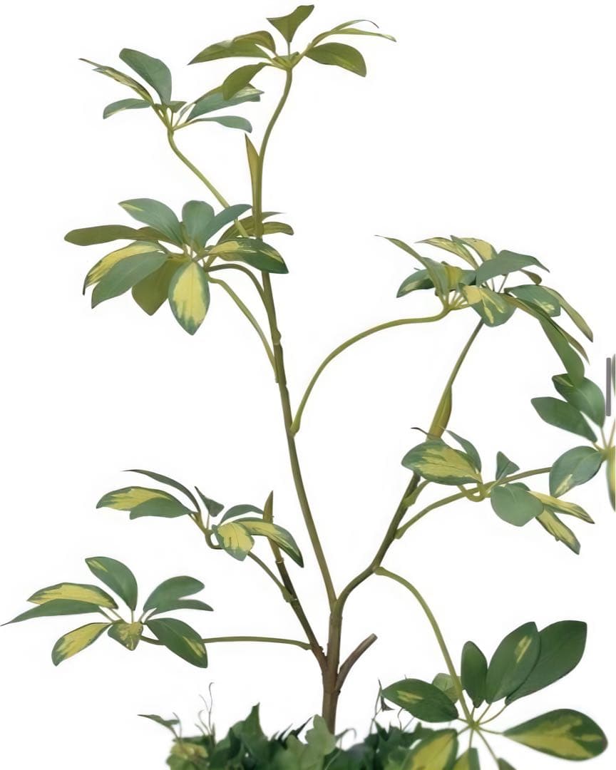 光触媒　人工観葉植物　ウォールグリーン　フェイクグリーン　シェフレラ68