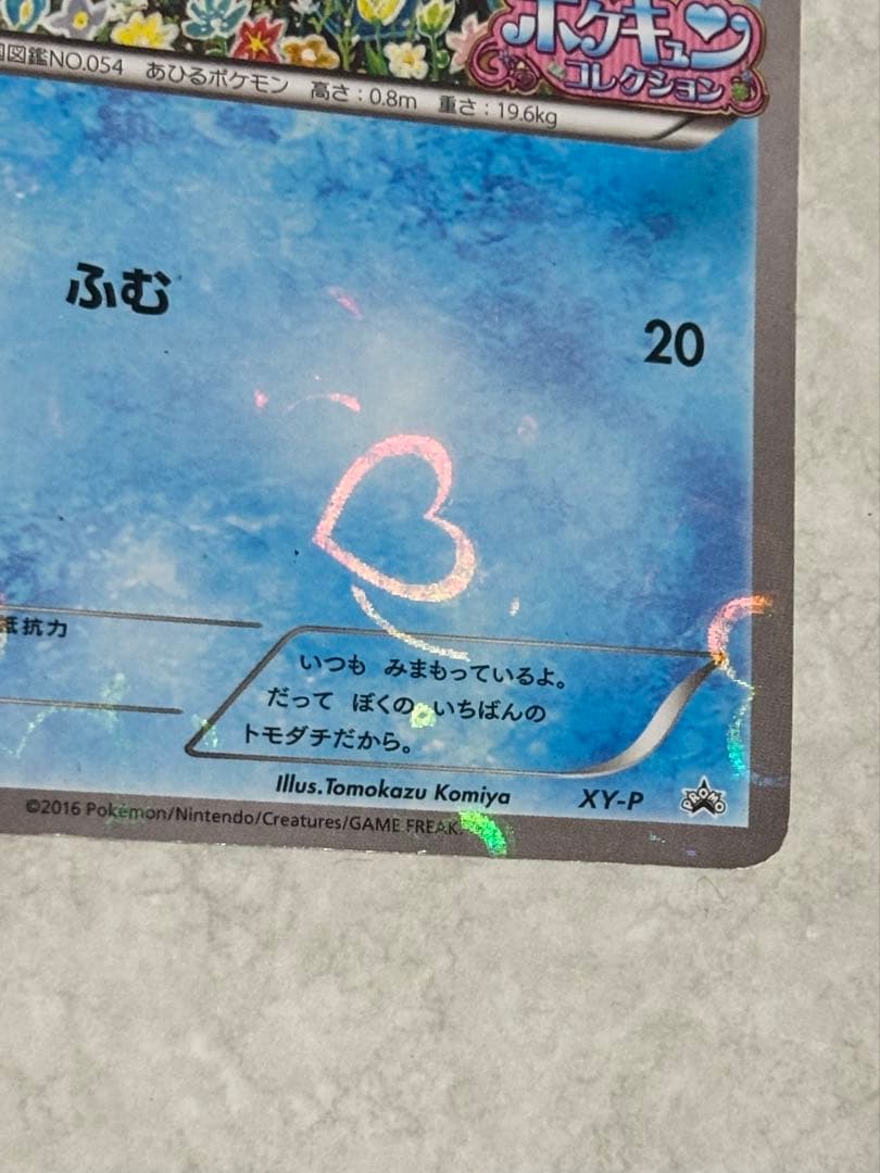 ポケモンカード XY-P コダック ポケキュンコレクション 増田順一 コラボ