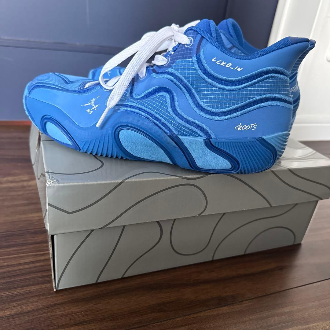 お値下げ　美品⭐︎NIKEジョーダン テイタム3 PFバスケシューズ 25.0