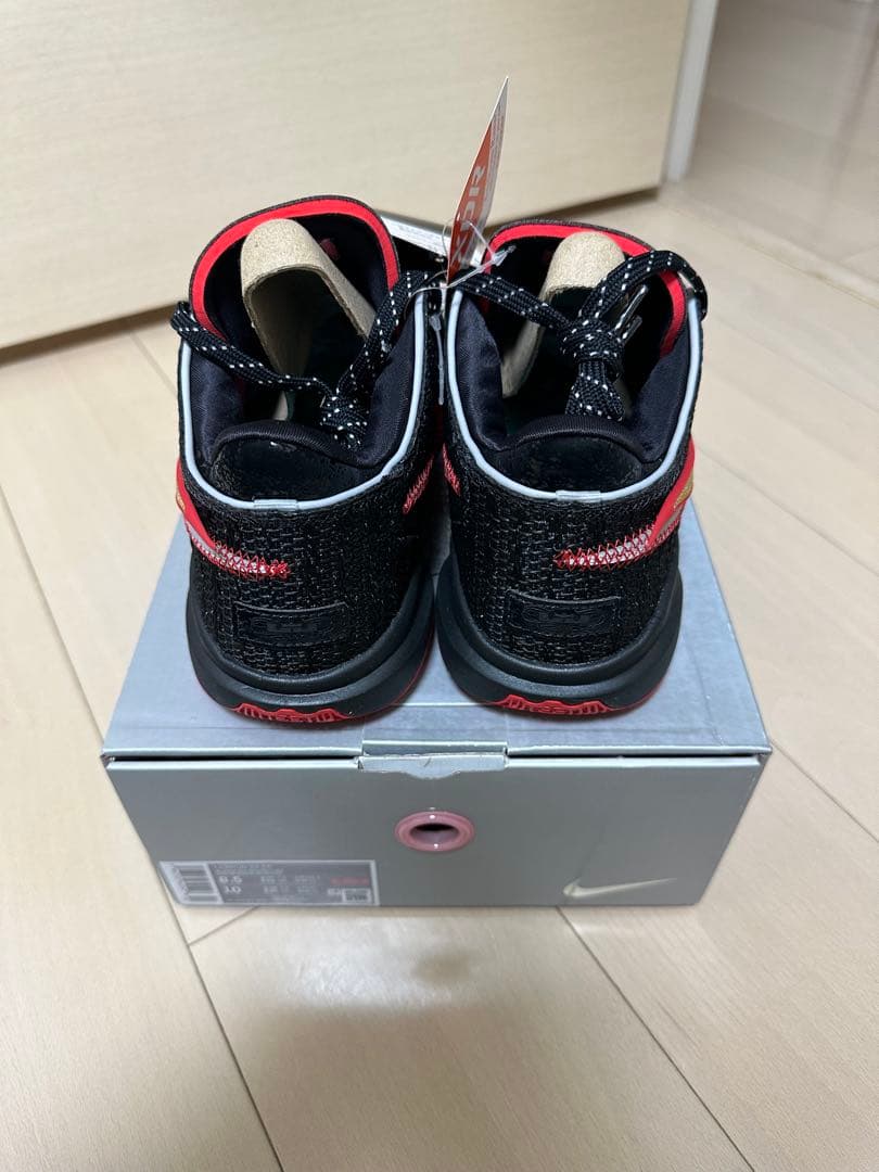 シューズ(男性用) NIKE lebron20