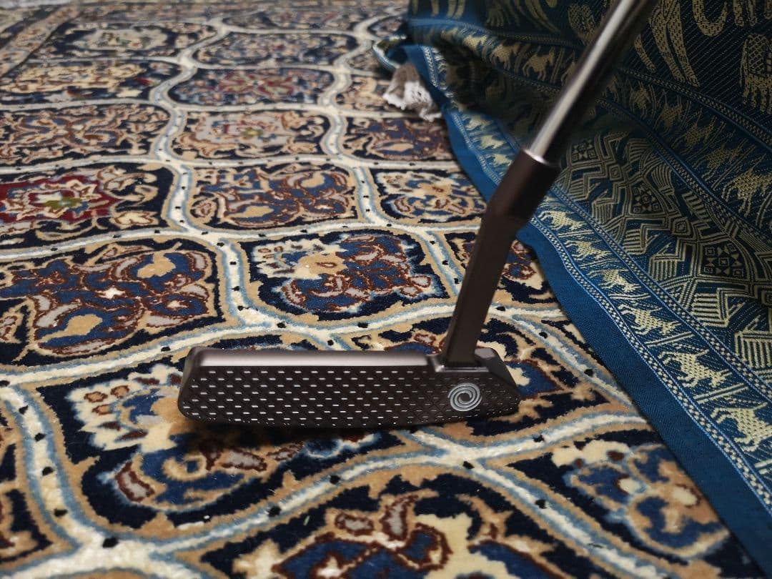 みーさん専用オデッセイ（ODYSSEY）パター トゥーロン ガレージ サンディエ