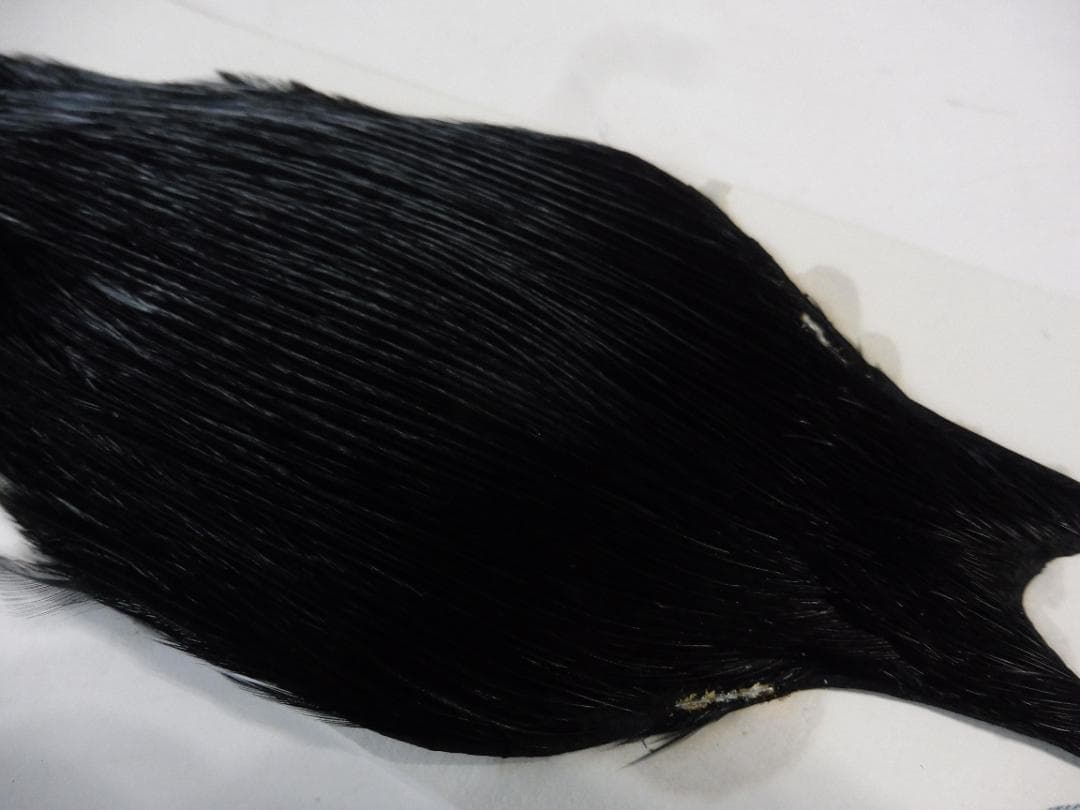 メッツ METZ コックハックルケープ DYED BLACK #2