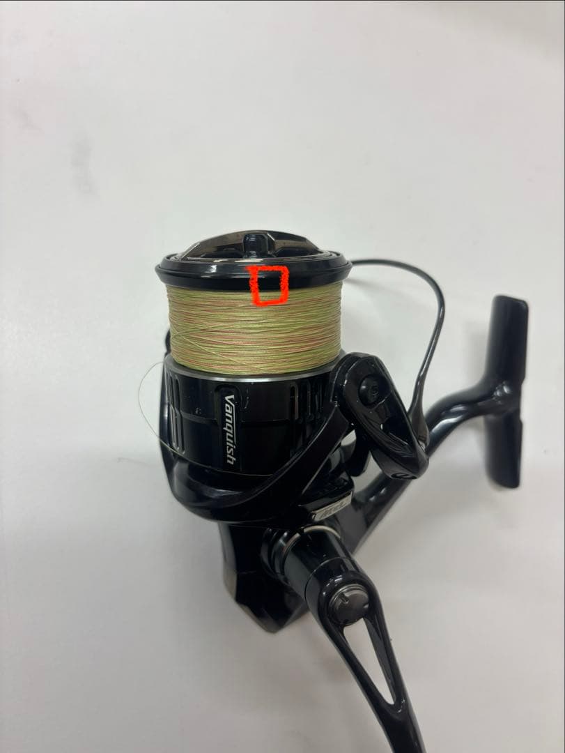（即購入OK）19ヴァンキッシュ　2500shg
