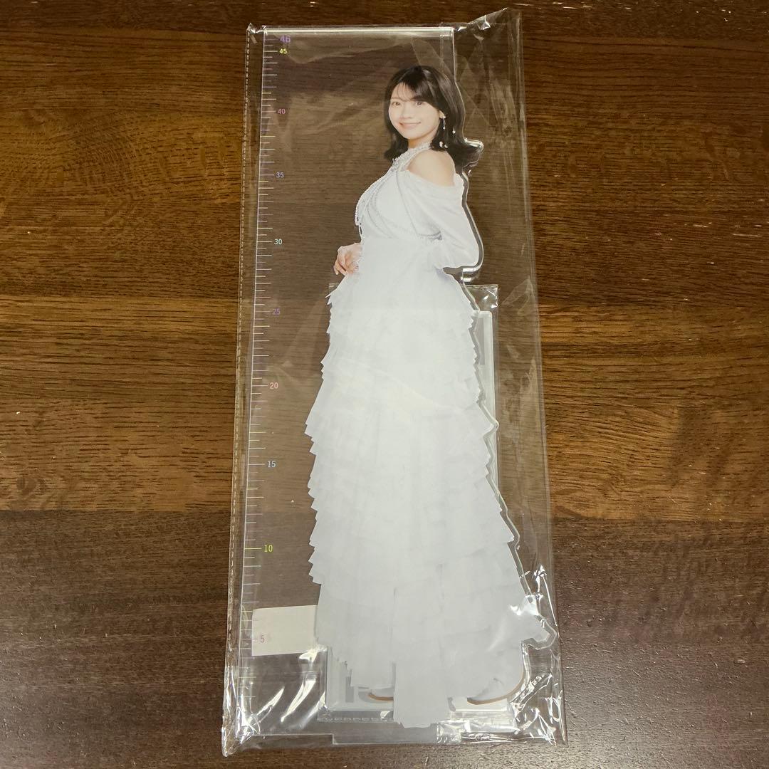 ＊乃木坂46 2026年福袋C 個別46cmアクリル定規スタンド 奥田いろは＊