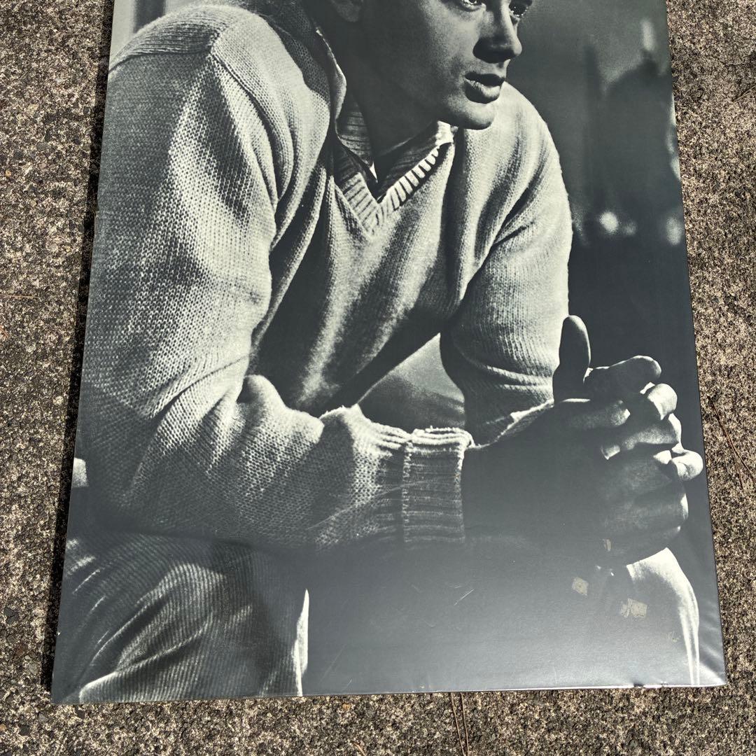 ジェームズ・ディーン 木製 大型 木製 パネル 非売品　60×90×2.5