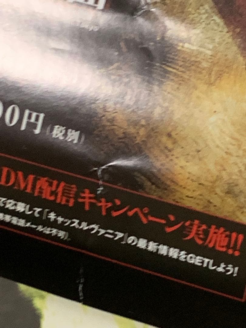 【B2・表面痛み大】 キャッスルヴァニア 暁月の円舞曲 販促 非売品 ポスター