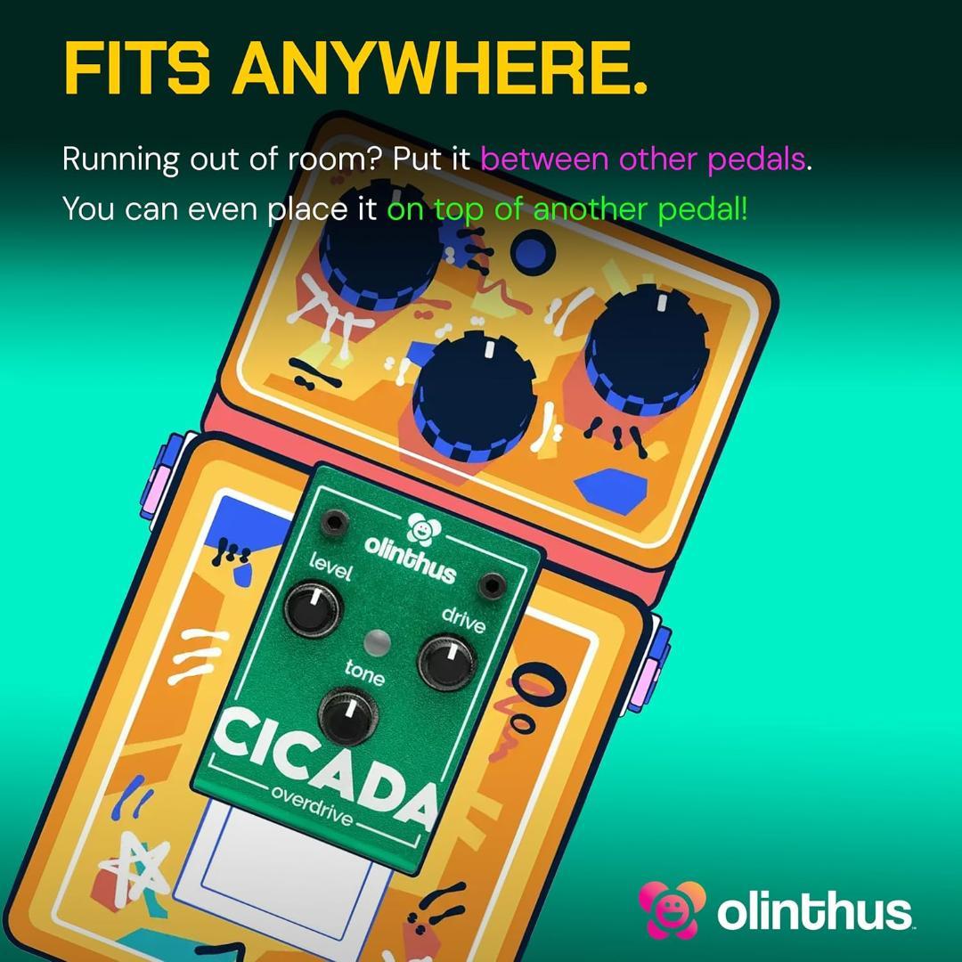 Olinthus オリンサス エフェクター オーバードライブ Cicada