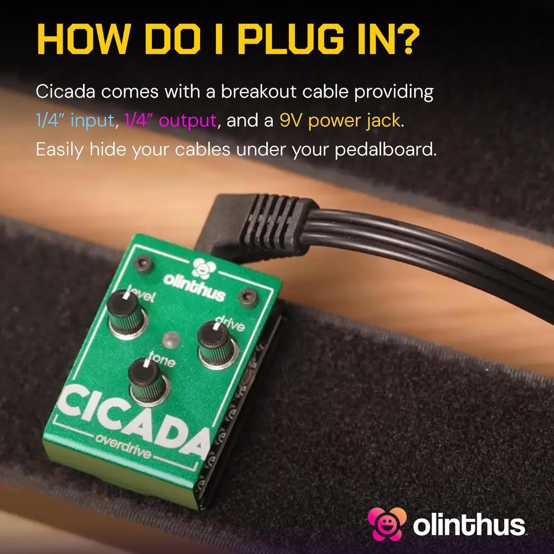 Olinthus オリンサス エフェクター オーバードライブ Cicada
