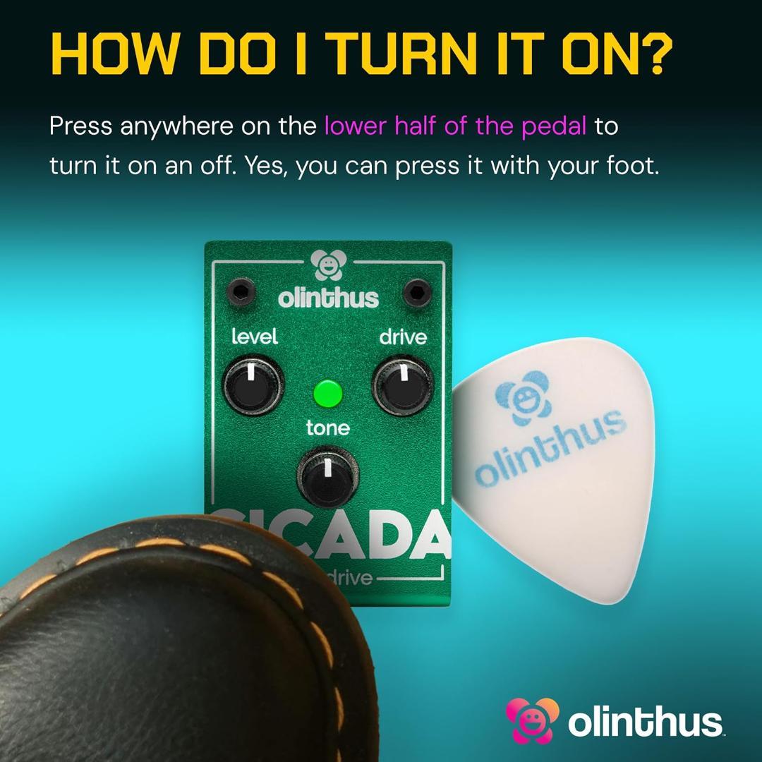 Olinthus オリンサス エフェクター オーバードライブ Cicada