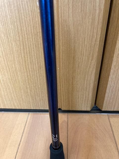 Daiwa 極鋭カワハギ AIR VS
