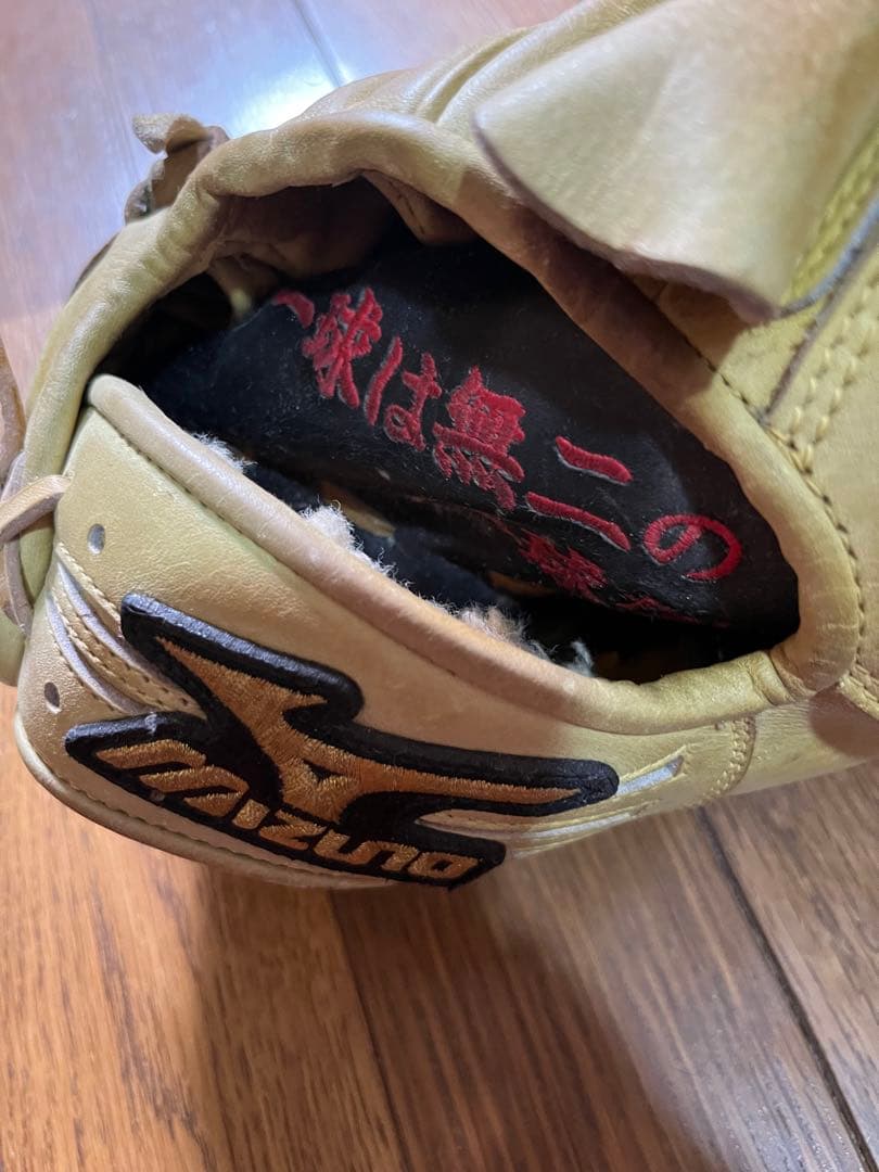 ミズノプロ 硬式グローブ 投手用