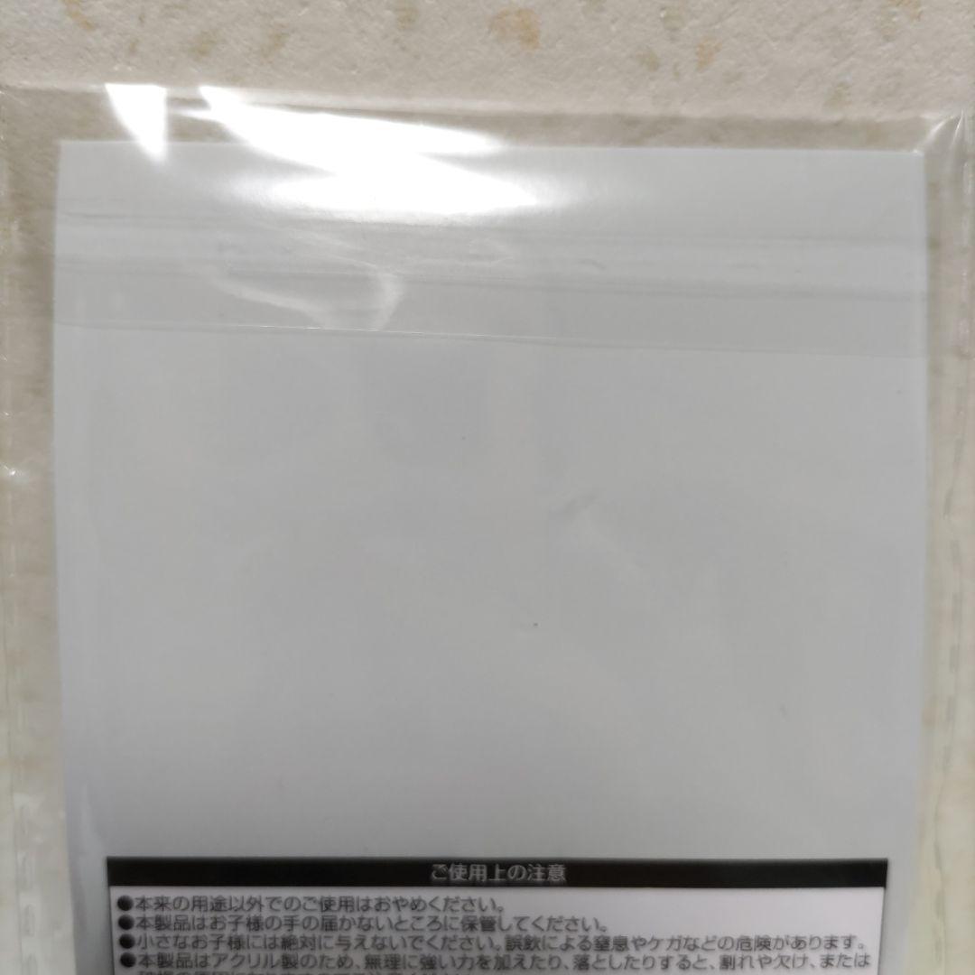 【早い者勝ち❗️】Man 岩本照 すのチル ぬいぐるみ キーホルダー