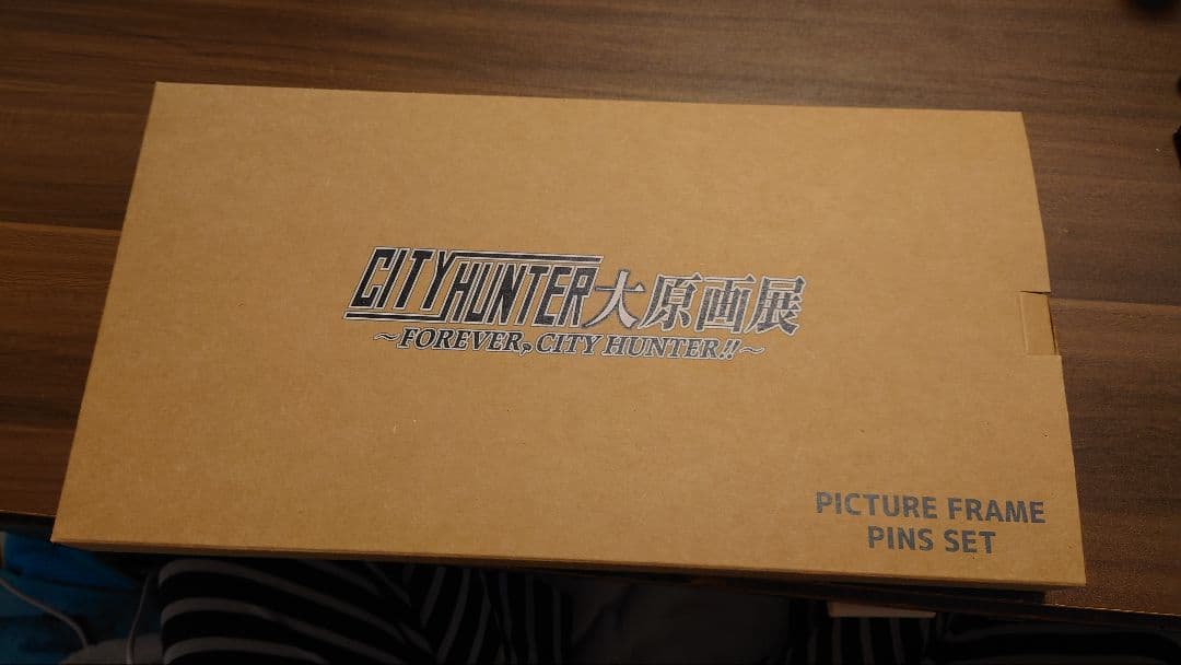 その他 CITY HUNTER PICTURE FRAME PINS SET