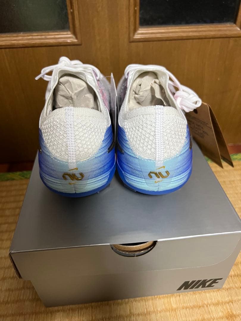 Nike ティエンポ レジェンド 10 エリート FG NU2 NIKE ナイキ