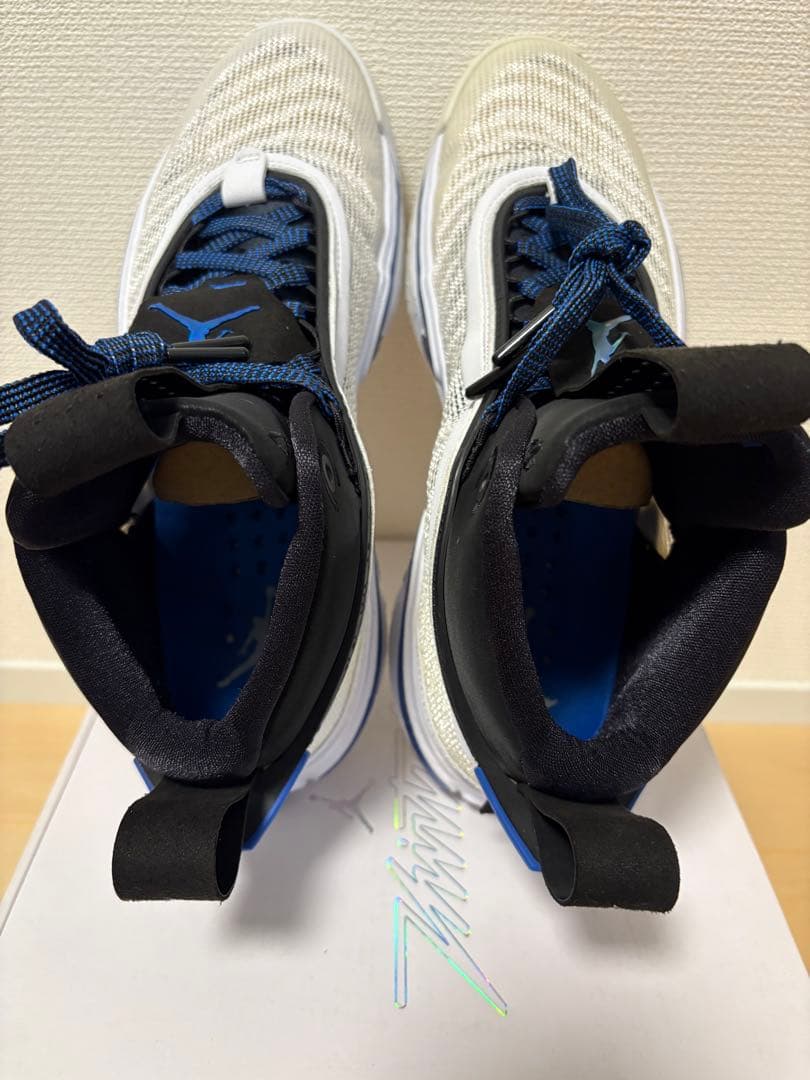 ジョーダン36 26.5cm シューズ JORDAN