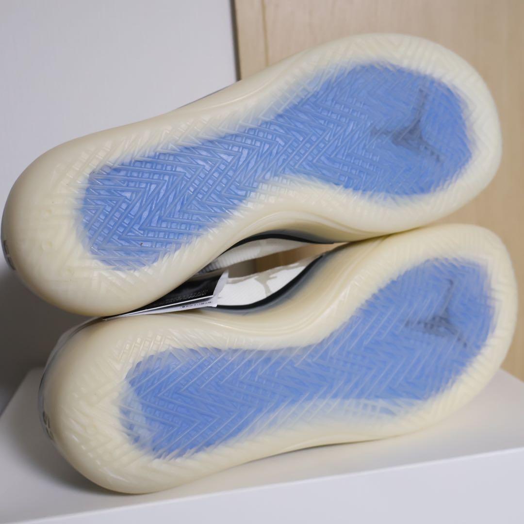 シューズ(男性用) NIKE AIR JORDAN 39 PF \"CROIX\"