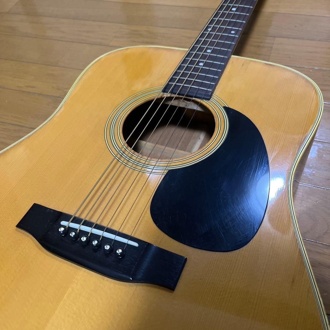 Morris W18 アコースティックギター