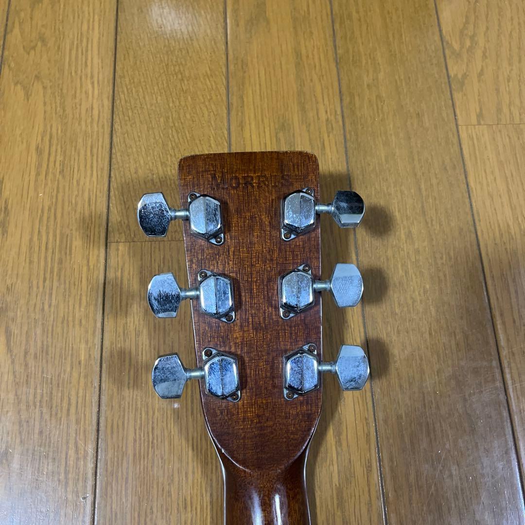 Morris W18 アコースティックギター