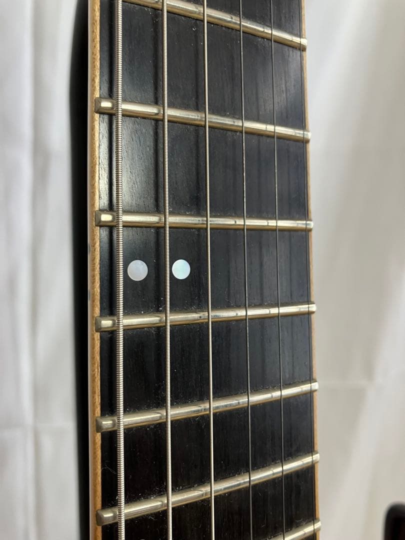 ギター Schecter Banshee-6 FR P