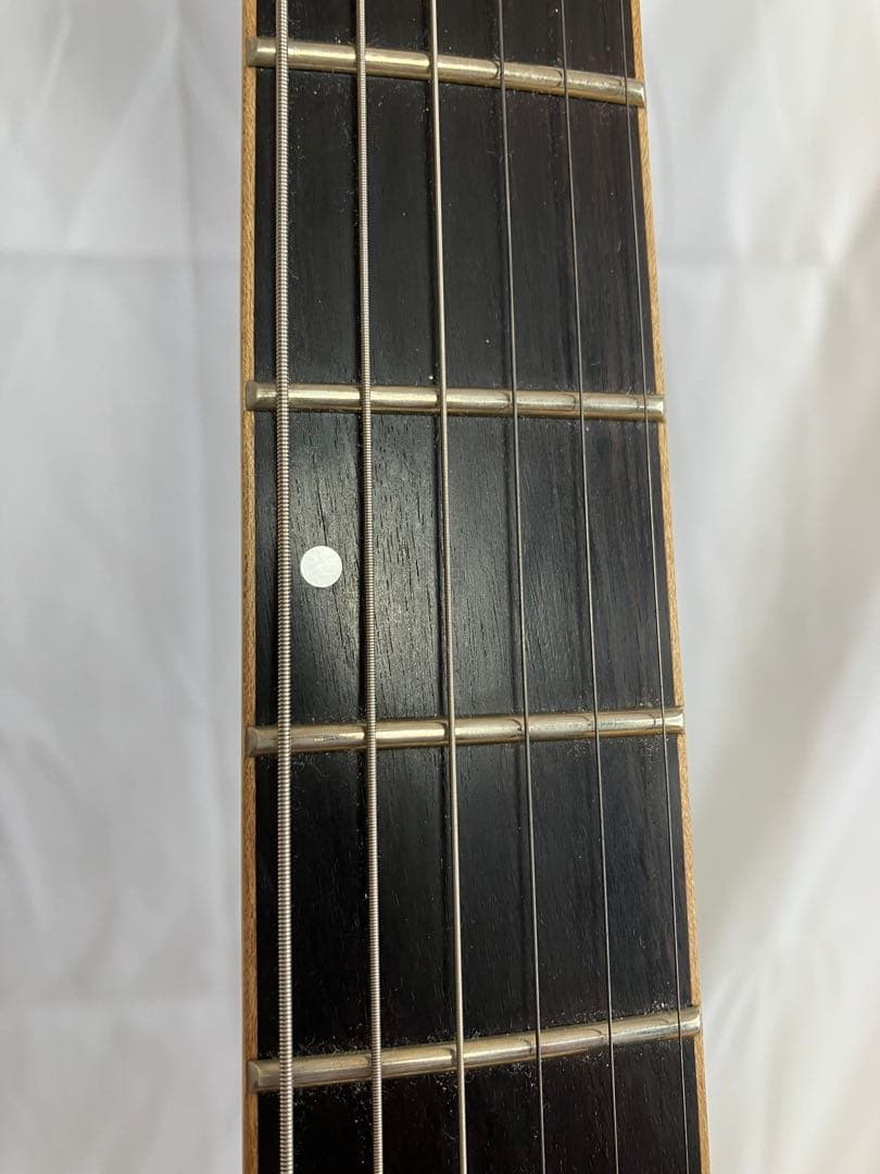 ギター Schecter Banshee-6 FR P